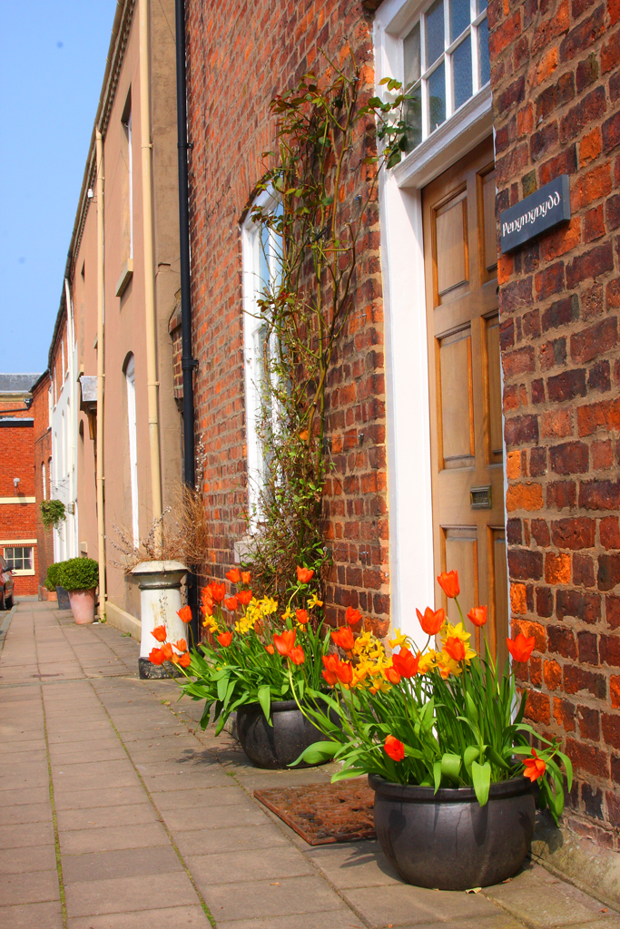 Street with Spring Flowers, Montgomery Town, Powys