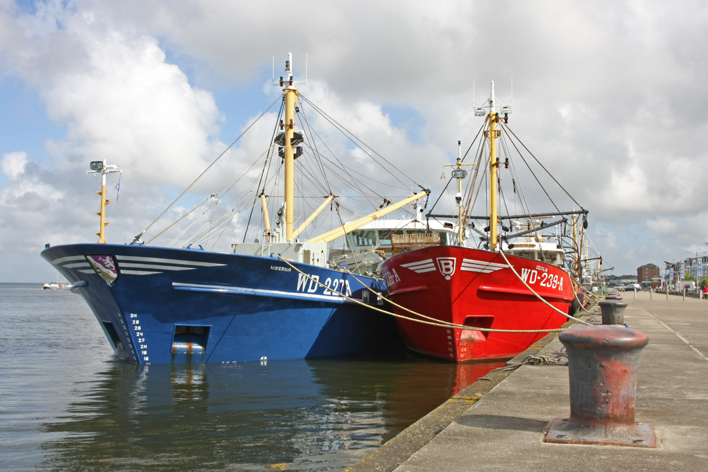 Fishing Boats in Wexford Harbour