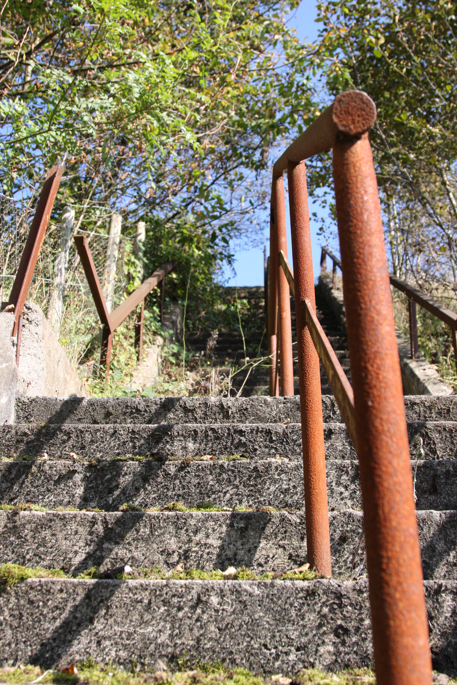 Overgrown steps on footpath to now closed Steelworks in Ebbw Vale