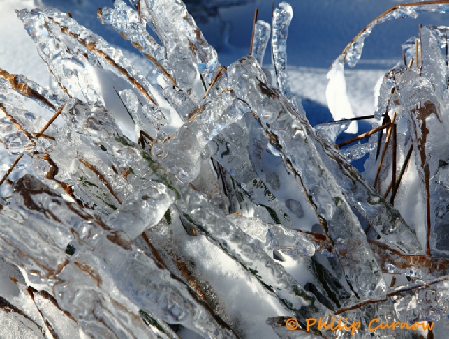 Frozen Llangynidr Moors, Ice Encrusted Grass